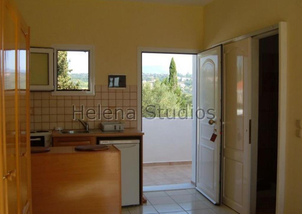 Helena'S Studios Livathos  객실 사진